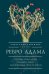 Ребро Адама. Пряные письмена памяти пяти Платоновых пространств. Авторская анатомическая поэзия в поисках Метакода Бытия