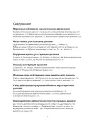 Анатомия дыхания