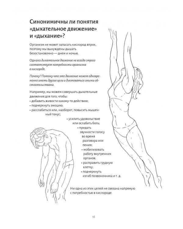 Анатомия дыхания