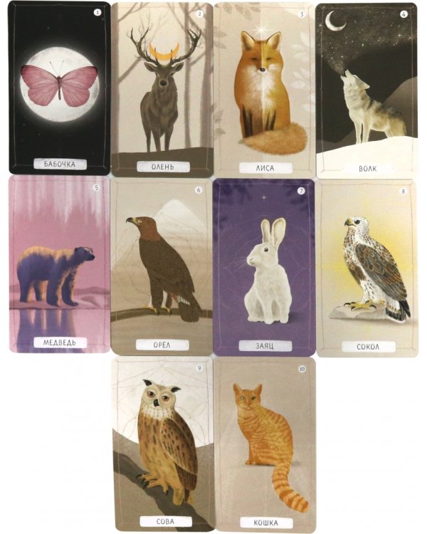 Оракул Послание духов леса, 64 карты