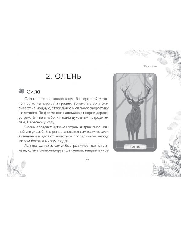 Оракул «Послание духов леса», брошюра