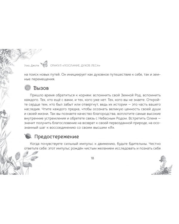 Оракул «Послание духов леса», брошюра