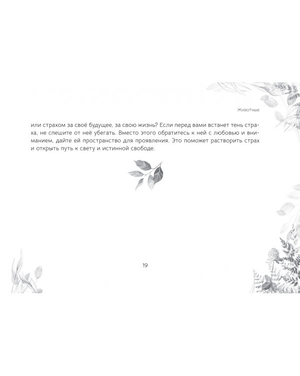 Оракул «Послание духов леса», брошюра