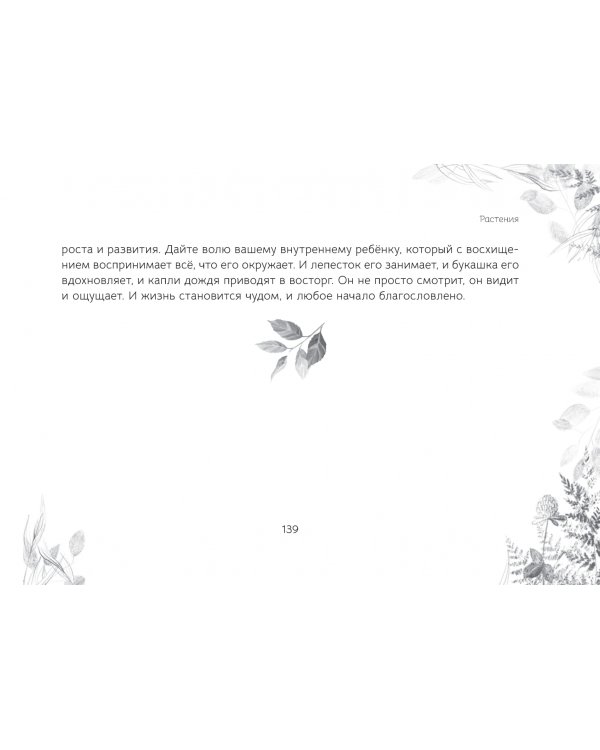 Оракул «Послание духов леса», брошюра