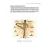 Рокет-йога. Руководство по прогрессивной аштанга-виньяса-йоге