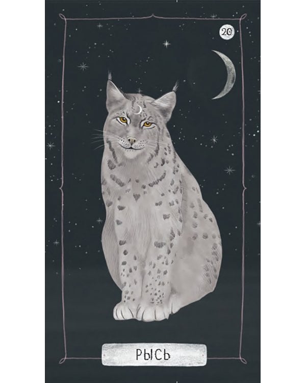 Оракул "Послание духов леса", 64 карты + брошюра