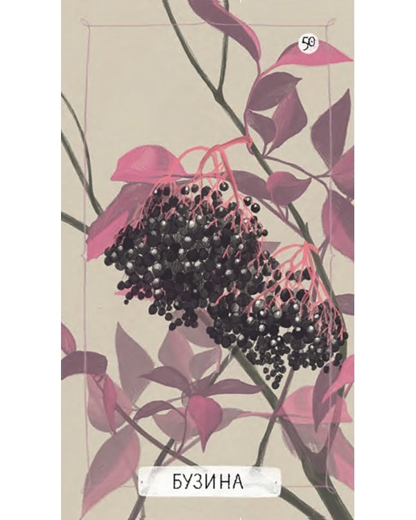 Оракул "Послание духов леса", 64 карты + брошюра