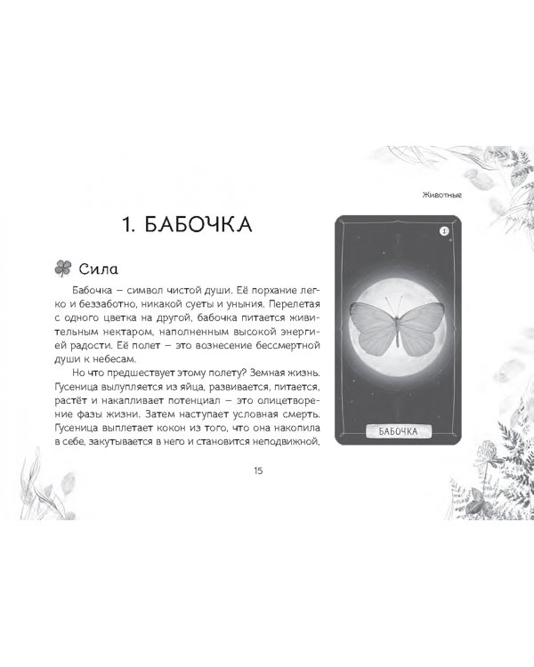 Оракул "Послание духов леса", 64 карты + брошюра