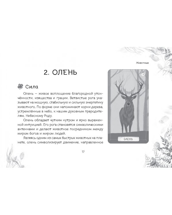 Оракул "Послание духов леса", 64 карты + брошюра
