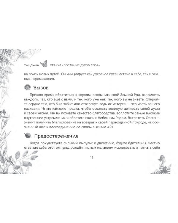 Оракул "Послание духов леса", 64 карты + брошюра