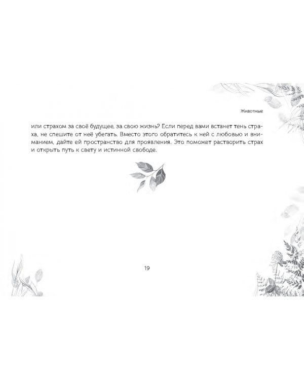 Оракул "Послание духов леса", 64 карты + брошюра