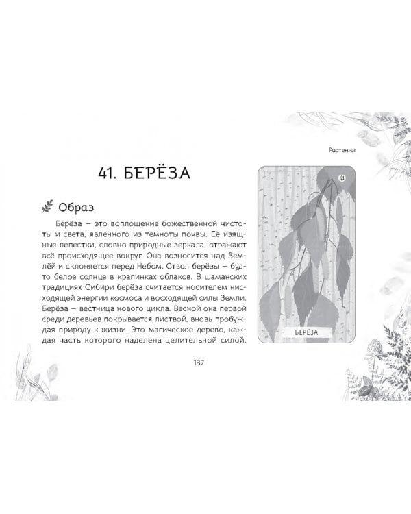 Оракул "Послание духов леса", 64 карты + брошюра