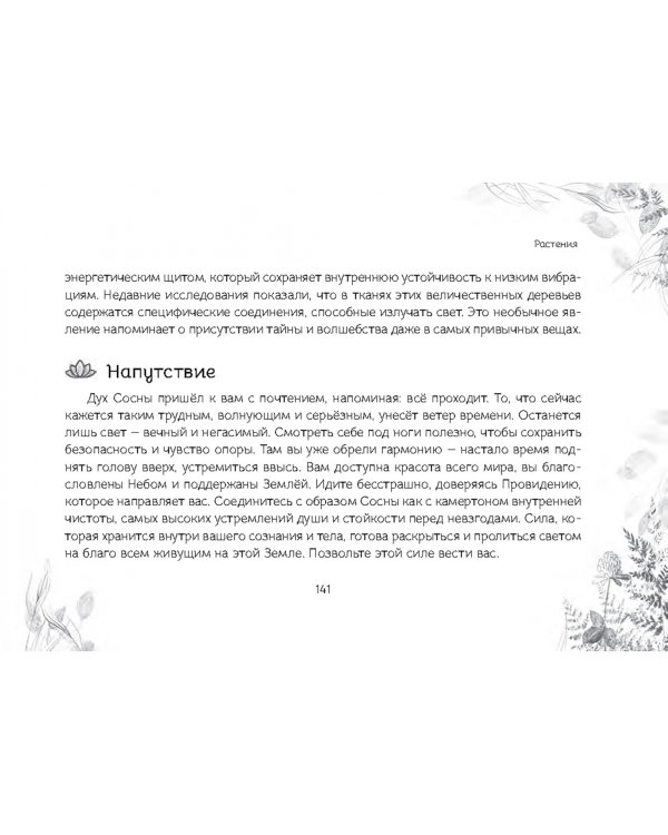 Оракул "Послание духов леса", 64 карты + брошюра