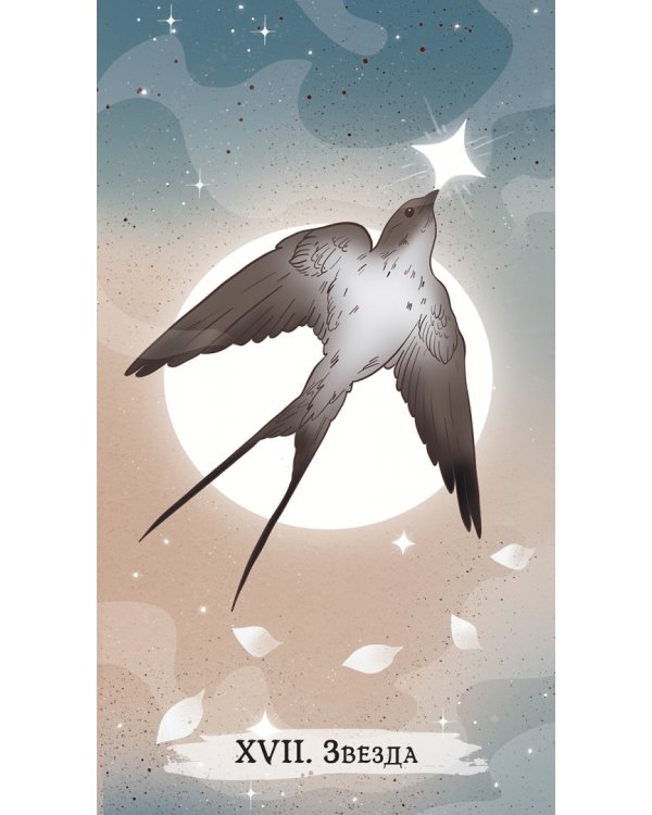 Таро ведьм, 78 карт + брошюра