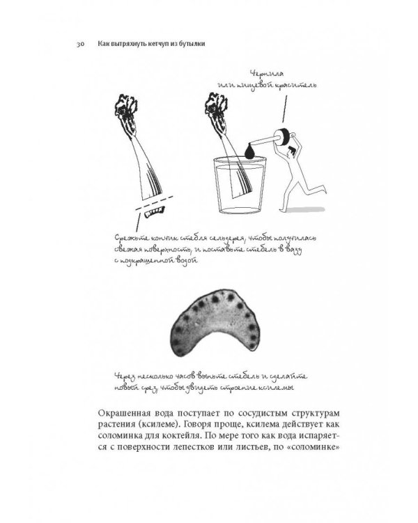Как вытряхнуть кетчуп из бутылки и еще 79 невероятных экспериментов в домашних условиях