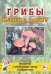 Грибы. Какие они? Книга для воспитателей, гувернеров и родителей