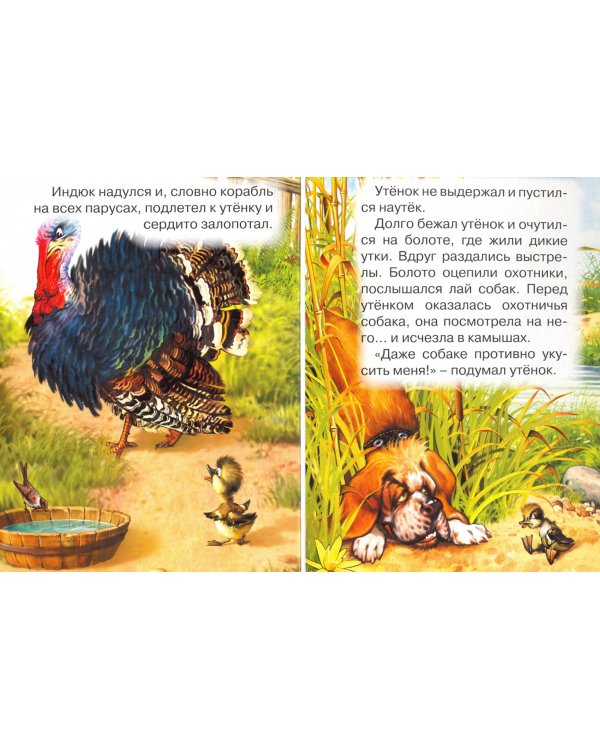 Гадкий утенок