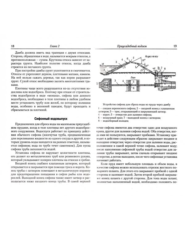 Разведение рыбы, раков, креветок в приусадебном водоеме