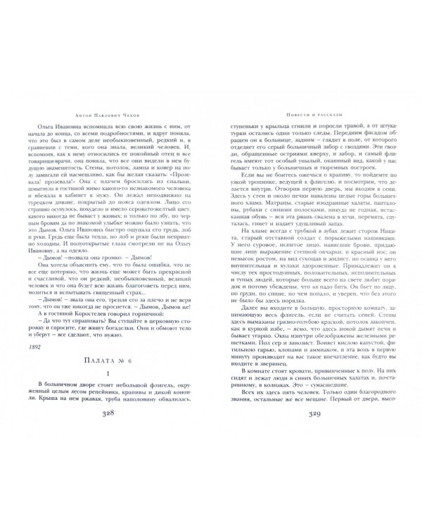 Дама с собачкой. Повести и рассказы