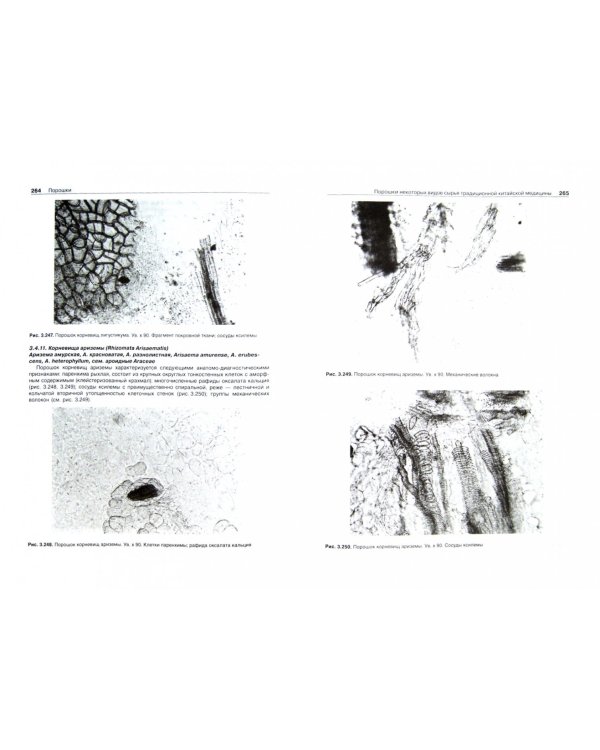 Фармакогнозия. Атлас. Учебное пособие. В 3-х томах. Том 3