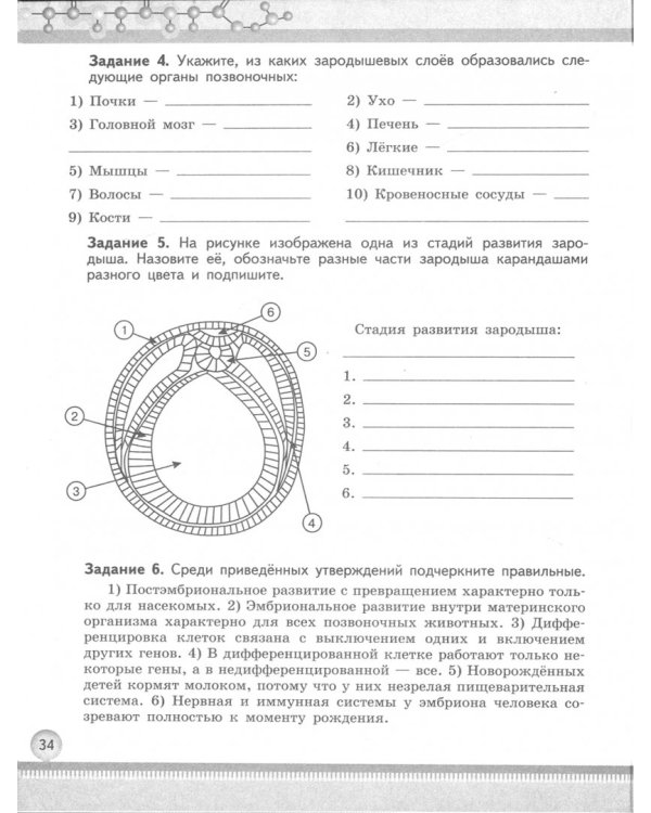 Биология. 10-11 классы. Рабочая тетрадь. Базовый уровень