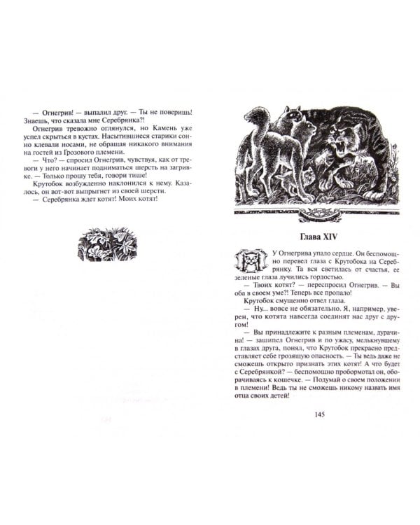 Лес секретов