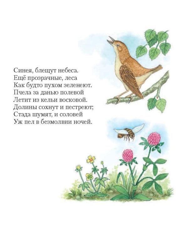 Дивная пора. Лучшие стихотворения русских поэтов о природе