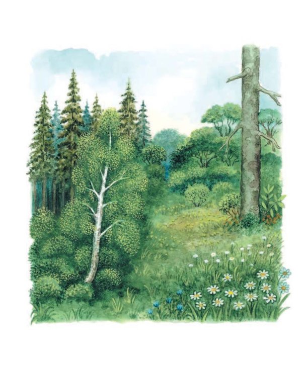 Дивная пора. Лучшие стихотворения русских поэтов о природе