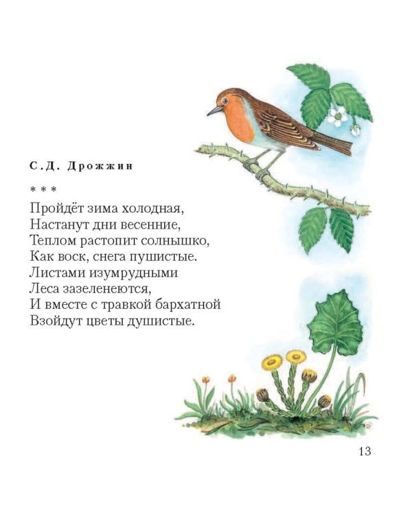 Дивная пора. Лучшие стихотворения русских поэтов о природе