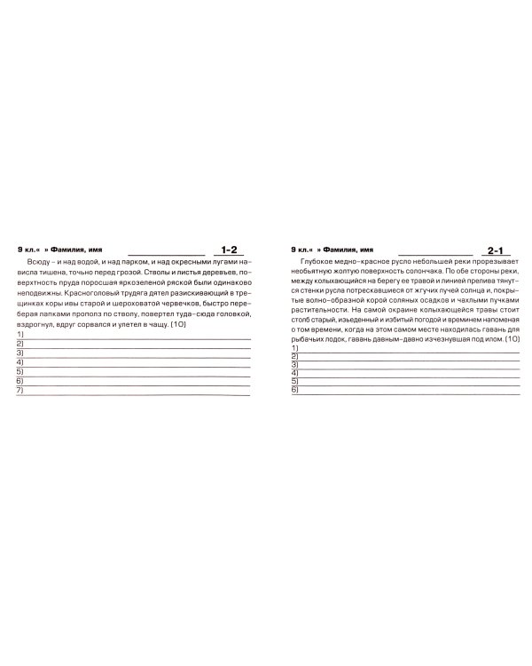 Русский язык. 9 класс. Найди ошибку! Самостоятельные работы