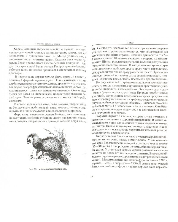 Домашняя звероферма. Кролики и пушные звери на приусадебном участке. Содержание и разведение