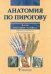 Анатомия по Пирогову. Атлас анатомии человека. В 3-х томах. Том 1: Верхняя конечность. Нижняя конечность (+ CD-ROM)