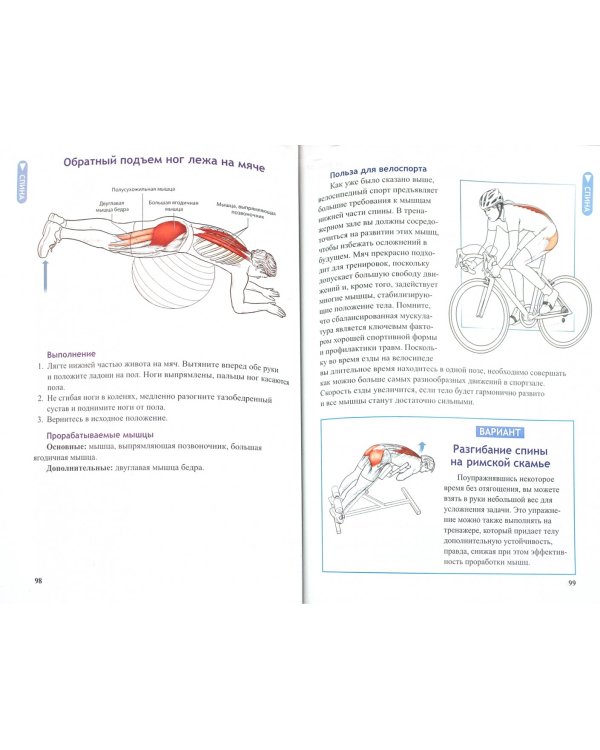 Анатомия велосипедиста
