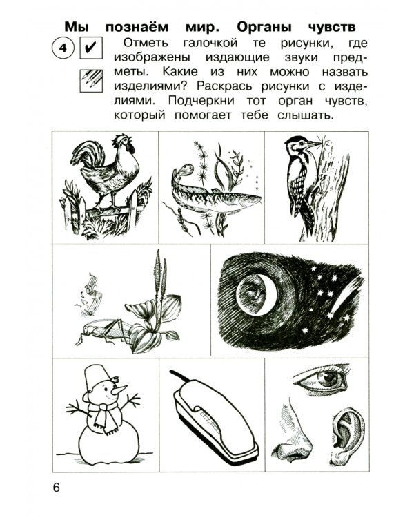 Окружающий мир. 1 класс. Тетрадь для самостоятельной работы