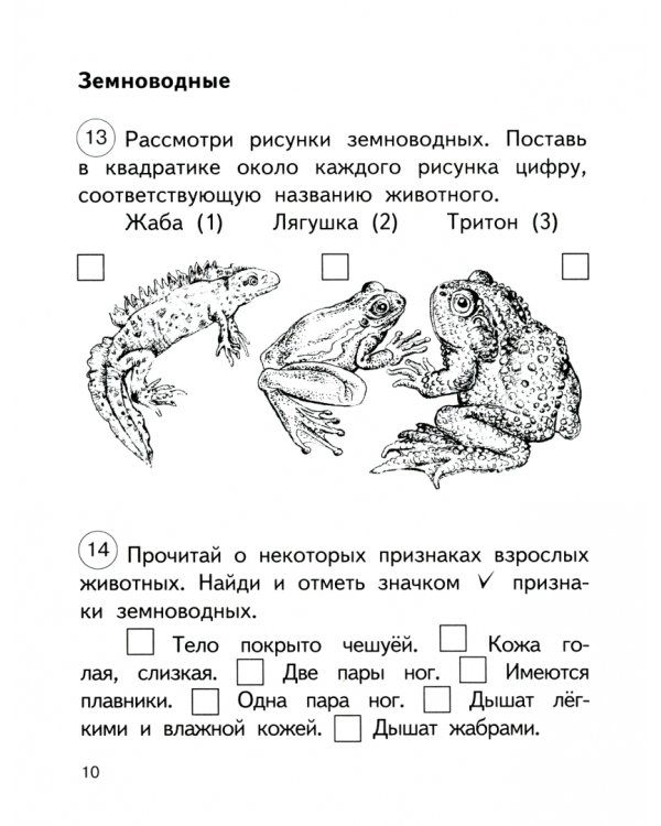 Окружающий мир. 2 класс. Тетрадь для самостоятельной работы. Часть 2