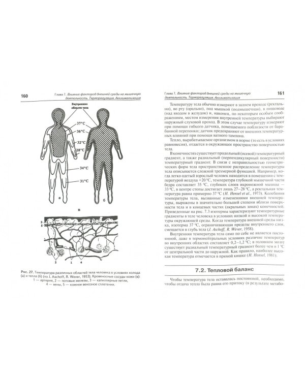 Экогигиена физической культуры и спорта. Руководство для спортивных врачей и тренеров