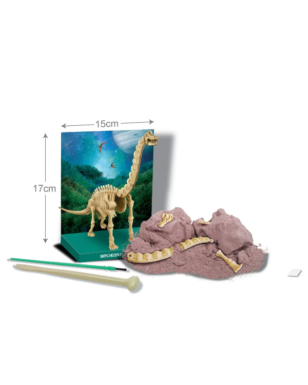 4M Скелет Брахиозавра