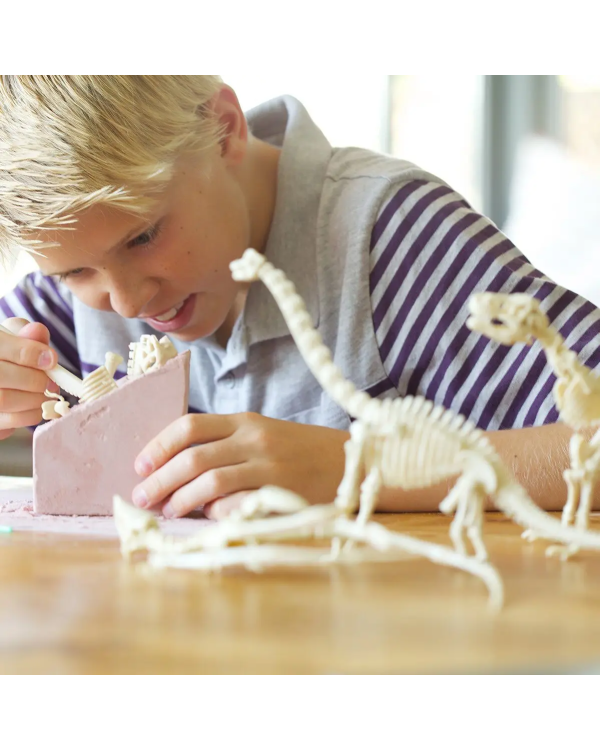 4M Скелет Брахиозавра