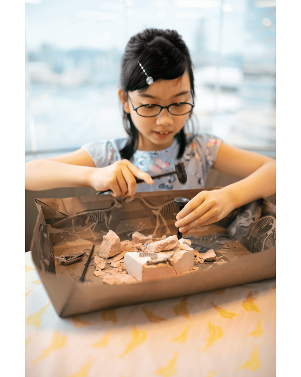 4M Набор юного археолога Птеранодон