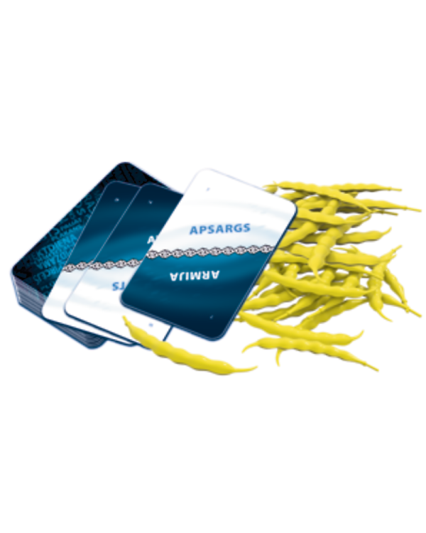 TREFL Настольная игра Просто "П" (на латышском языке)