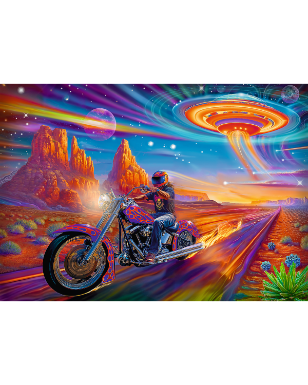 TR Пазл 1000 Pre.Plus Дикий заезд