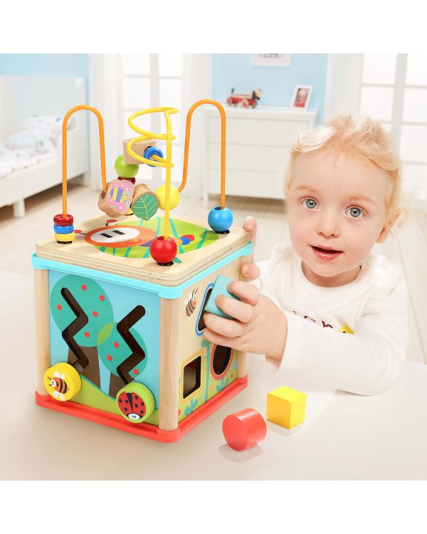 TOPBRIGHT Деревянный сортер "Лабиринт"