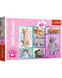 TREFL Пазл Котята, 60 шт.