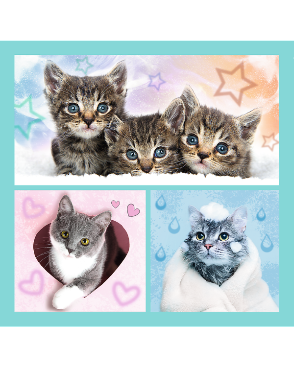 TREFL Комплект пазлов 3в1 Котята