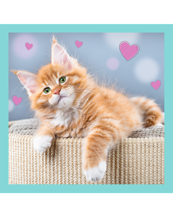 TREFL Комплект пазлов 3в1 Котята