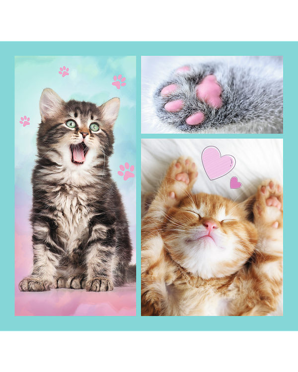 TREFL Комплект пазлов 3в1 Котята