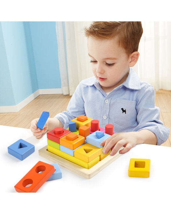 TOPBRIGHT Деревянный сортер "Геометрические блоки"