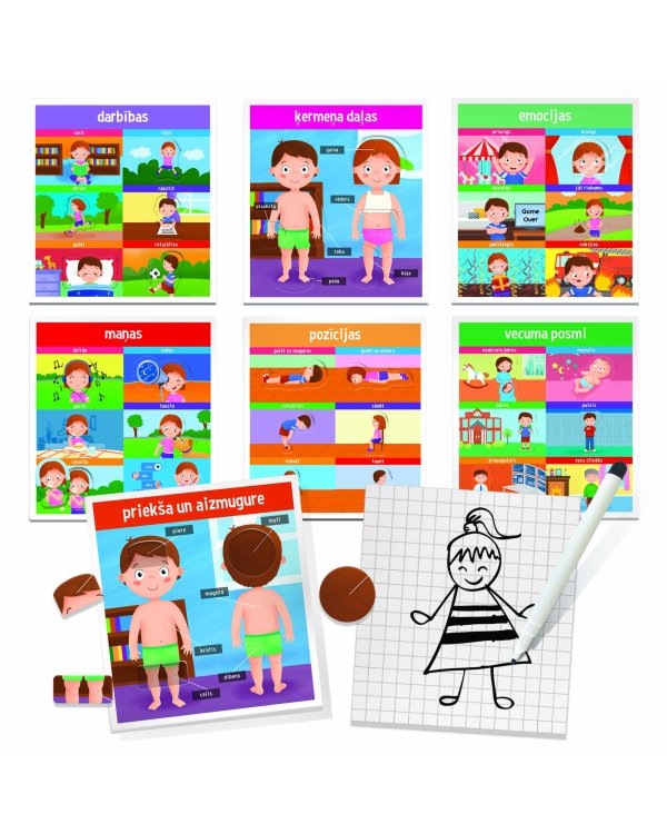 HEADU Развивающая игра Монтессори "Как мы созданы" (на лат. языке)