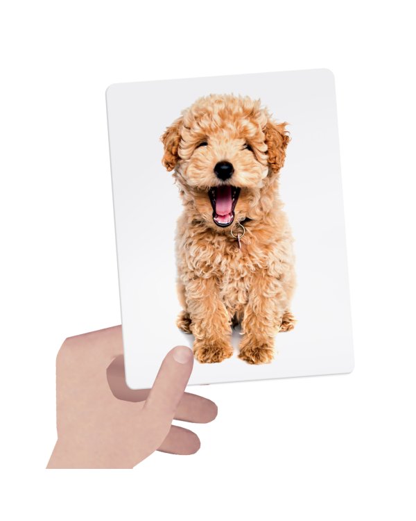 HEADU Карточки Монтессори Трогаем, Чувствуем, Изучаем