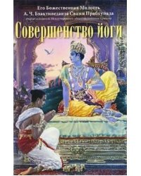 Совершенство йоги
